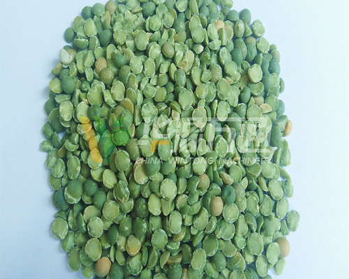 <a href=http://m.fpadna.com/product/8/ target=_blank class=infotextkey>豌豆脫皮機</a>